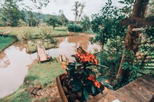 a flower pot sitting on a table next to a river at Chalé dos Alves in Morro Azul