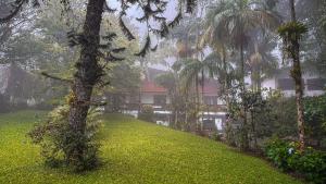 a building on a hill with palm trees and grass at Casa Smile in Teresópolis
