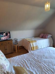 a hotel room with two beds and a tv at Moher Heights in Liscannor