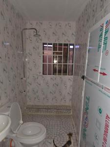a bathroom with a toilet and a sink at J&J Guest Apartment in Eggan