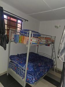two bunk beds in a room with a window at J&J Guest Apartment in Eggan
