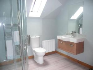 a bathroom with a toilet and a sink and a shower at Clochridgestone Cottage in Aberargie +4 photos
