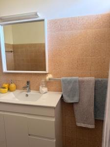 a bathroom with a sink and a mirror at Namoi Dreaming Spacious parkview residence in Narrabri +9 photos