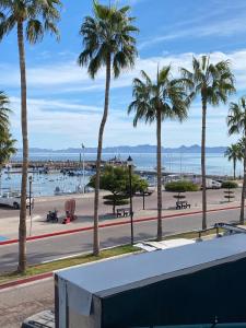 a view of a beach with palm trees and a street at Hotel Marina Loreto in Loreto