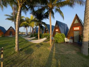 a hammock on the lawn of a resort with palm trees at Arena Hostel in El Paredón Buena Vista