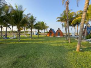 a park with palm trees and a house at Arena Hostel in El Paredón Buena Vista +22 photos