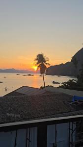 a palm tree on the beach with the sunset in the background at YOLINDA's TOURIST INN in El Nido