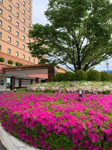 a bed of flowers in front of a building at ホテルKOYO in Hashima