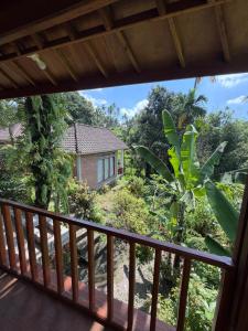 a view from the balcony of a house at Lombok Riverside Bungalows in Masbagik