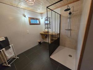 a bathroom with a shower and a sink at Évasion nature en Normandie in La Patrie +27 photos