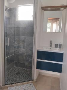 a bathroom with a shower and a sink at Kaza LYBS in Fort-de-France +10 photos