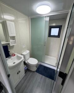 a bathroom with a shower and a toilet and a sink at Country Tracks in Willowbank