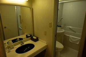 a bathroom with a sink and a toilet and a mirror at Hotel Grand Plaza Urashima in Kurihara +35 photos