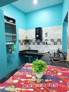 a kitchen with a table with a potted plant on it at Mona Homestay in Sambalpur