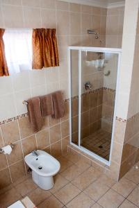 a bathroom with a shower and a toilet and a sink at Apartment at 34 Columbine Avenue in Johannesburg