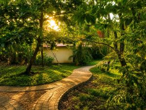 a walkway in a garden with the sun setting at Los Susurros. Casa in Palenque +51 photos