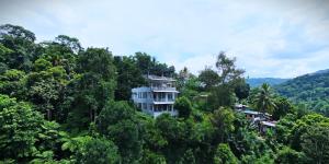 a building on a hill in the middle of trees at Celenika Resort in Kandy