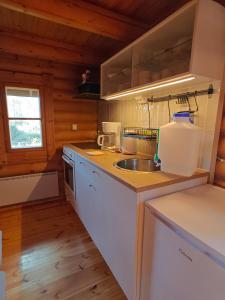 a kitchen with a sink and a counter top at Kotikolo in Inari