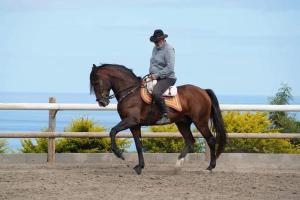 a man riding a horse in an arena at Gadiamb City in Saint-Pierre