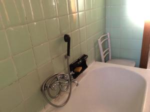 Vannituba majutusasutuses Albergo Cervo