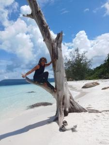 a person sitting in a tree on the beach at Anna Koh Rong in Kaôh Rŭng (3)