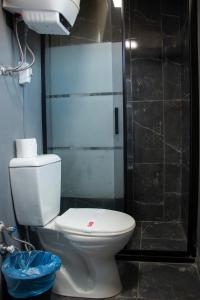 a bathroom with a toilet and a shower at Loft Orman Tatil Köyü in Ankara