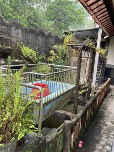 a swimming pool in a garden with plants at Cozy stay wsb in Wonosobo