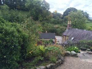 Kebun di luar Hillside Cottage