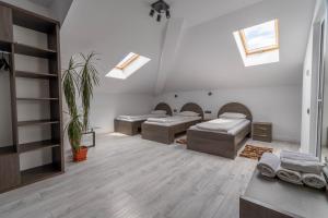 a room with three beds and a potted plant at Pensiunea Gaby in Cluj-Napoca
