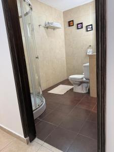 a bathroom with a shower and a toilet at Nova IVE Apart in San Luis
