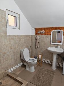 a bathroom with a toilet and a sink at Cabana Tarța din Blidari 1 in Baia Mare +15 photos