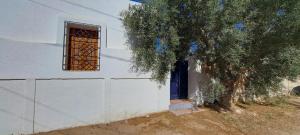 a window and a tree next to a white building at Dar Mnasri in Houmt Souk