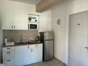 a kitchen with a refrigerator and a microwave at Annalisa Studio & Apartments in Skala