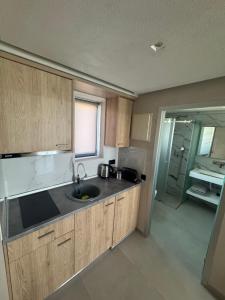 a small kitchen with a sink and a shower at Villa Roza 2 in Kallithea Halkidikis
