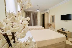 a hotel room with two beds and a tv at Pyramids Stars Egypt in Cairo