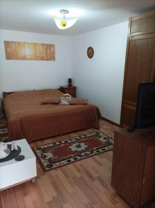 a bedroom with a bed and a tv in it at Casa Puiu in Slănic-Moldova