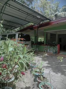 a group of potted plants sitting in a patio at Kalana Homestay in Sigiriya +57 photos
