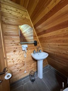 a bathroom with a sink and a wooden wall at Hochaladah2 in Mestia
