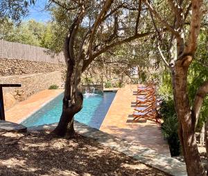 a swimming pool with a tree in a yard at Ses Terrasses in Cadaqués