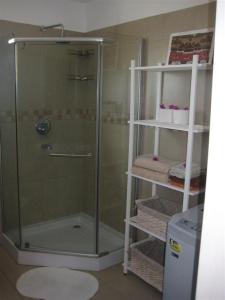 a shower with a glass door in a bathroom at Villa Pupunu 1 in Grand Gaube