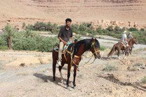 a man riding a horse in the desert at Luna del fuego in Ifri