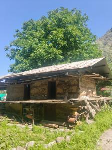 an old wooden house with a tree in the background at The Morchella House Tirthan Valley in Gushaini