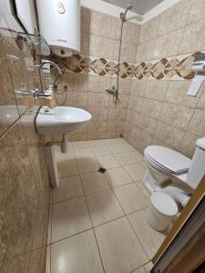a bathroom with a toilet and a sink at Вила ДАР in Gara Oreshets +42 photos