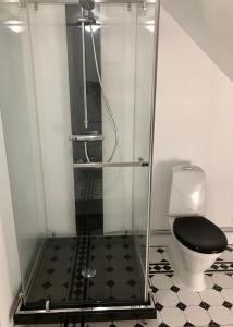 a bathroom with a glass shower with a toilet at Åkeslund in Hörby