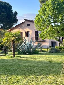 a house with a palm tree in front of a yard at Villa Nardelli in Pozzuolo