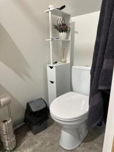 a bathroom with a white toilet and a shelf at Bruno māja in Strenči