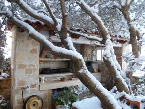 a snow covered tree in front of a house at Argoliki Thalassa in Myloi