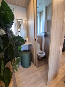 a bathroom with a toilet and a green plant at Stellira - Vakantieverblijf in Zonhoven