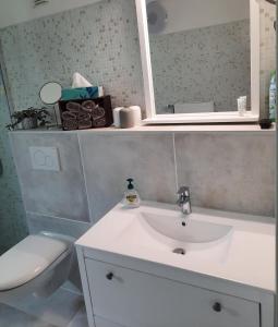 a bathroom with a white sink and a toilet at Gemütliche Ferienwohnung Traumfänger NOK in Schafstedt