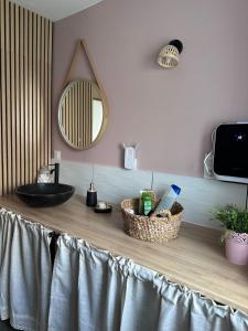 a bathroom counter with a sink and a mirror at Le Pressoir des Maisons de Blanche in Lengronne +19 photos